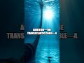 The Atlantic Cable: Threads Beneath the Ocean
