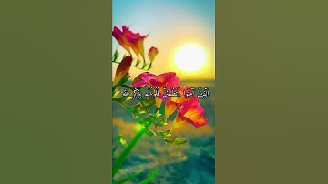 قرآن كريم القارئ عبدالرحمن مسعد من سورة (الرعد)