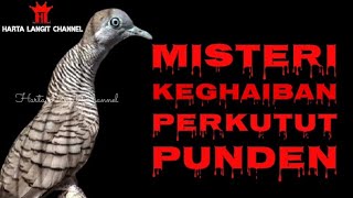 Misteri & Mitos Perkutut Punden