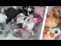 Beginning of video