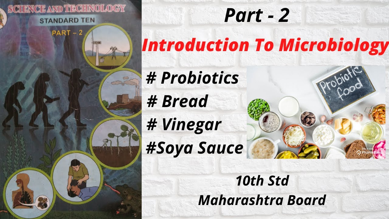 Introduction to Microbiology Part 2 10th Std Maharashtra Board