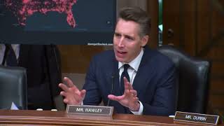 Experts Testify on Flock AI Surveillance Network
