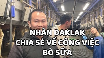 Tập 127 - Nhàn Daklak Chia Sẻ Về Công Việc Bò Sữa - Thực Tập Hưởng Lương Đan Mạch