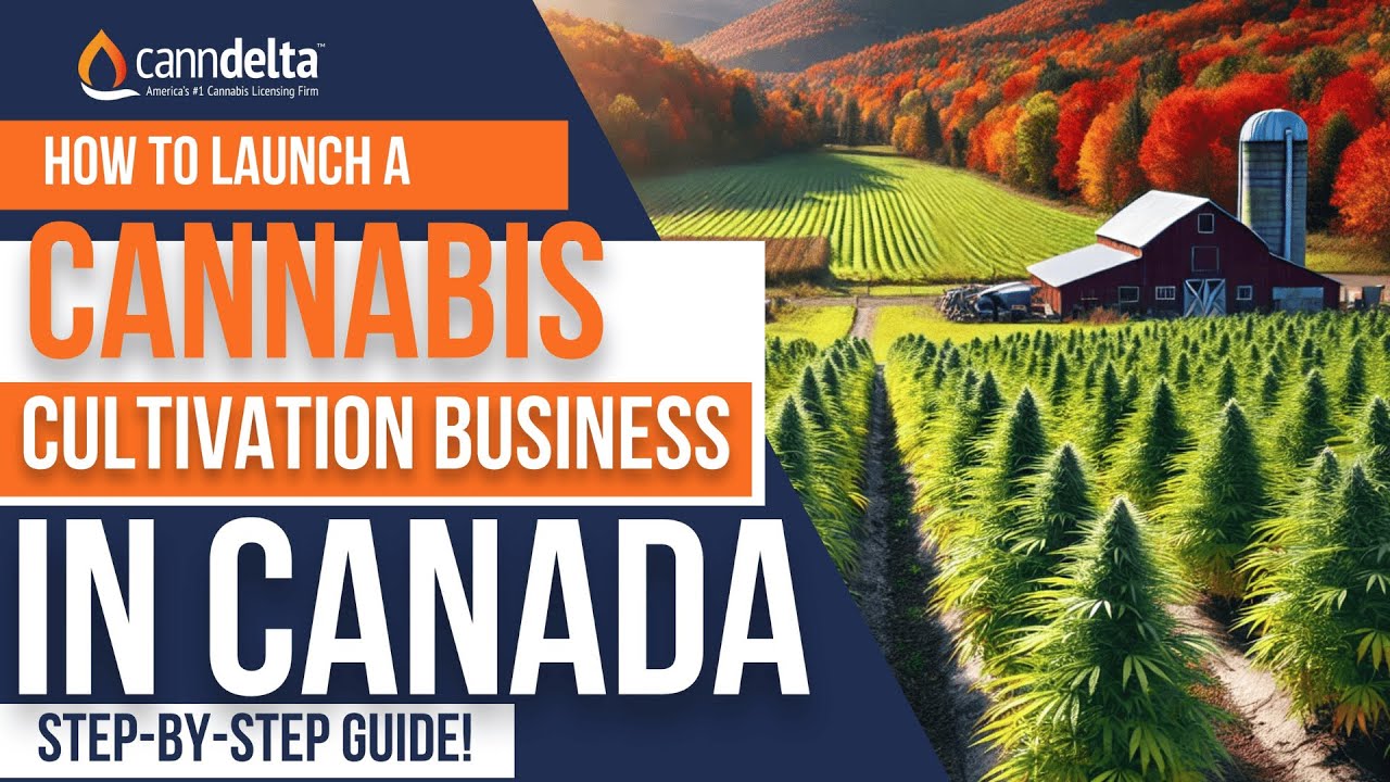 How to Start a Cannabis Cultivation Business in Canada