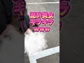 泥酔美女#困ってます#お笑い#viral#funnyfails#tiktok #tiktokvideo #youtube#shorts#おすすめ#すごい#バランス #Twitter#爆笑#海外