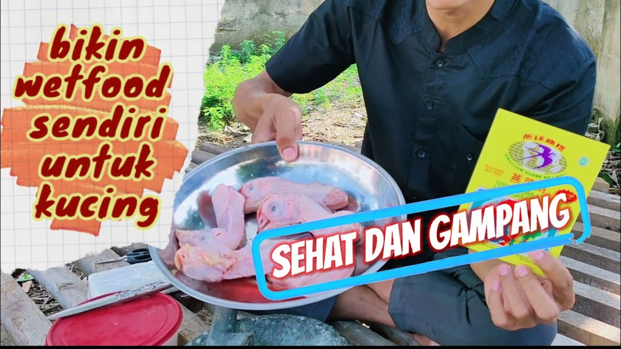 Makanan Kucing Buatan Sendiri Wet Food Dari Kepala Ayam Youtube