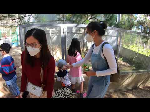 zoodoo da lat Update Vườn thú Zoodoo - Đà Lạt - Phần 2