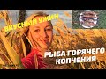 Рыба горячего копчения. Как коптить рыбу. ЗОЛОТАЯ ОСЕНЬ.  Красивый закат. (04.10.2019 Волгоград)