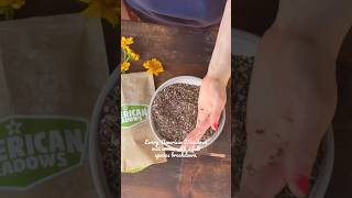 Whats In This Wildflower Seed Mix