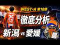【J2・J3百年構想リーグWEST-A第18節・プレビュー】試合前徹底分析【アルビレックス新潟vs愛媛FC】