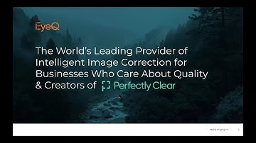 How to Automate Your Workflow   A Master Class on Saving Time and Making Money with Perfectly Clear