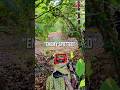 Nerf Forest Game & Loadout with ZWQ S400 Red Hare and HC Diana