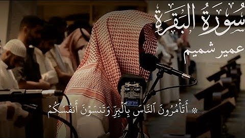 أتأمرون الناس بالبر وتنسون أنفسكم | تلاوة من سورة البقرة القارئ عمير شميم