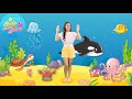 Sea creatures song in spanish medusa jellyfish  los animales marinos  action song for kids