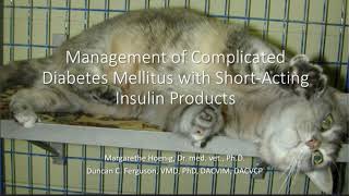 Management of Complicated Diabetes Mellitus in Dogs and Cats, Part 2: Therapy by VetMedAcademy 154 views 1 year ago 17 minutes