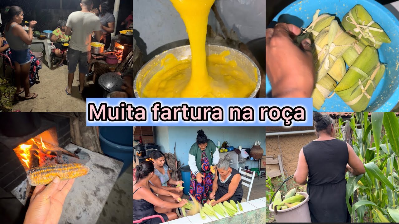 MUITA FARTURA NA ROÇA / FIZEMOS PAMONHA / CANJICA / MILHO COZIDO E ...