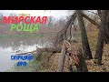 Интересный Харьков: МИРСКАЯ РОЩА (Скуридина дача) | Новожаново.