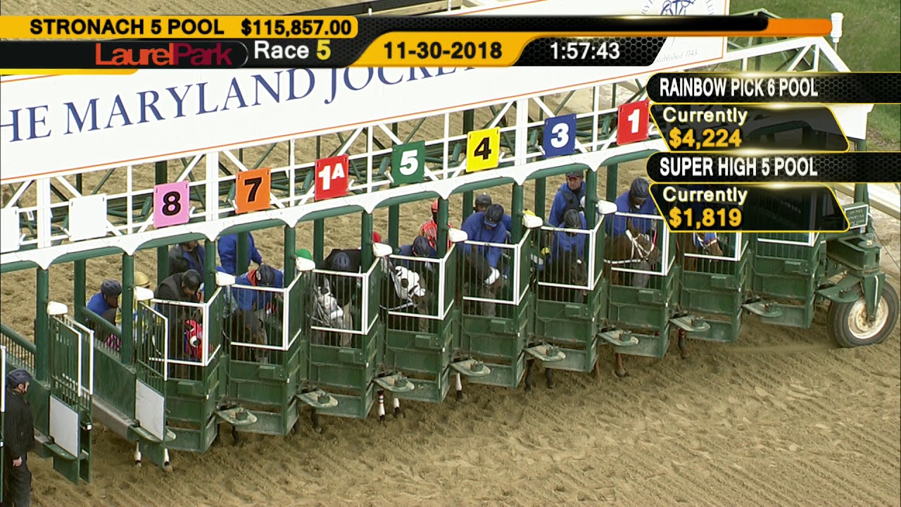 laurel-park-11-30-18-replay-show-youtube