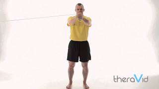 Isometric Trunk Rotations