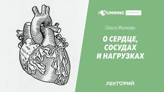 О сердце, сосудах и нагрузках. Ольга Житкова. Лекторий I LOVE RUNNING