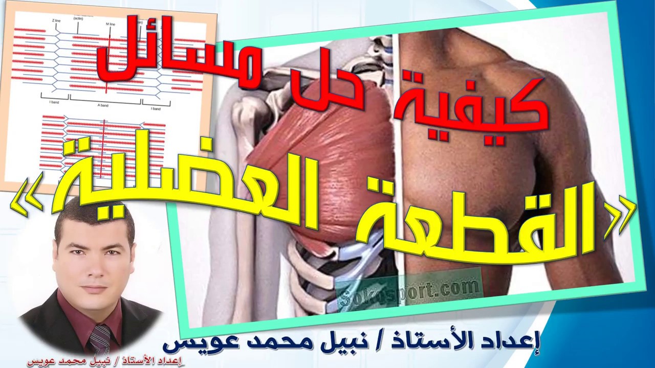 كيفية حل مسائل القطعة العضلية بسهولة | للثانوية العامة والأزهرية | أستاذ : نبيل عويس