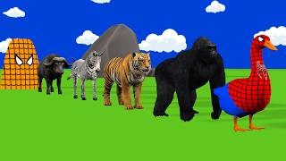 Long Slide Game with Dinosaur Lion Cow Hippopotamus Gorilla 3d Animal Game Funny 3d Animals