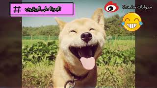 حيوانات تضحك