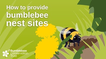 How to provide bumblebee nest sites