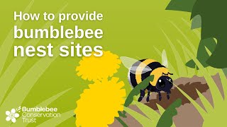 How to provide bumblebee nest sites