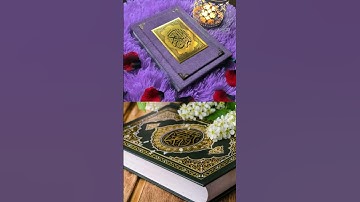 سورة المؤمنون للقارئ ياسر الدوسري #القرآن #الكريم