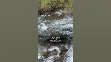 قران كريم خالد الجليل #المصحف #اكسبلور #حالات_واتس #راحة_نفسية