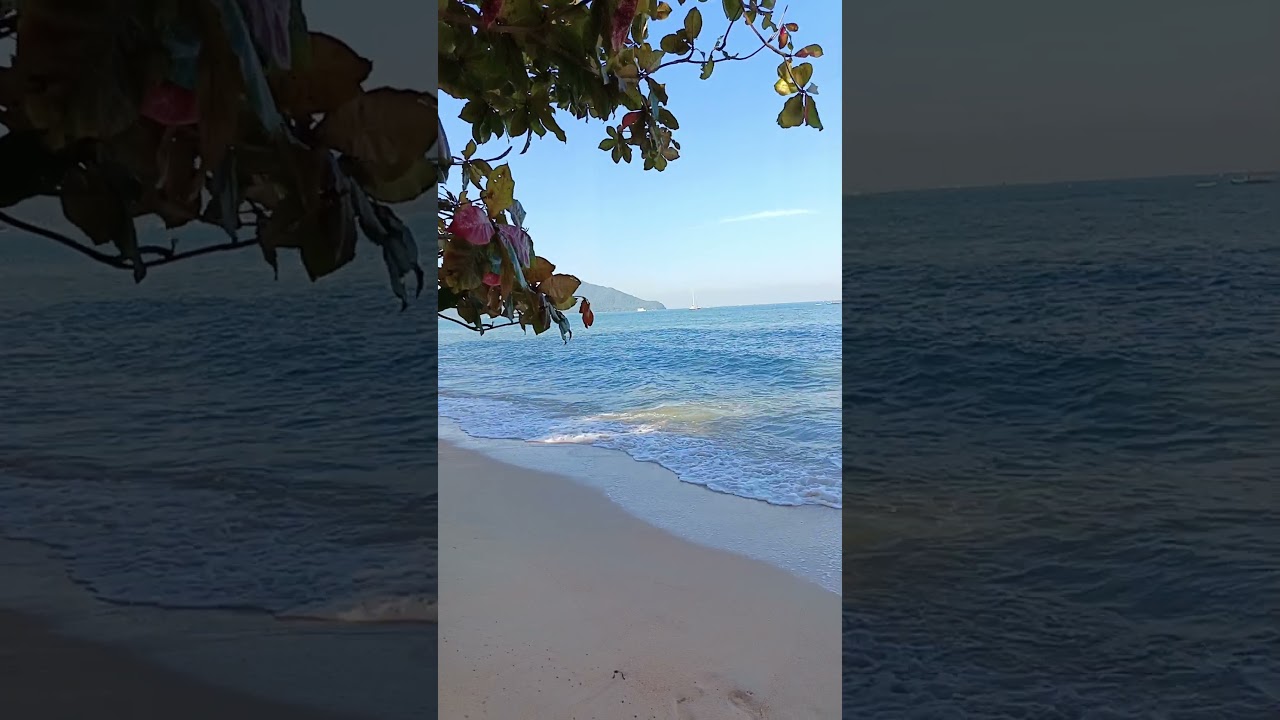 #บางเสร่