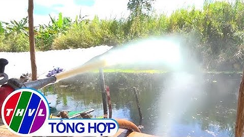 Chủ động phòng chống cháy rừng khi nắng nóng kéo dài tại Cà Mau