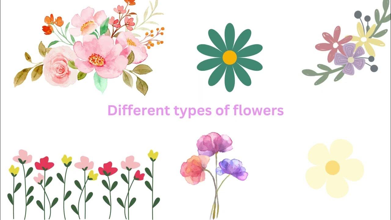 Different types of flowers YouTube