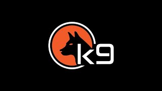What is a Password Attack - K9 Cybersecurity Basics