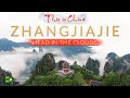 Zhangjiajie Park: Head In The Clouds Or The Sky At Your Feet | Avatar Mountains