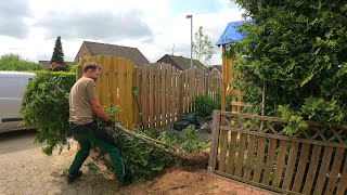 'I Want You to REMOVE My UGLY Hedge', So the Homeowner Told Me by Kustorez 313,580 views 11 months ago 18 minutes