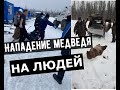 НА ЛЮДЕЙ НАПАЛ МЕДВЕДЬ