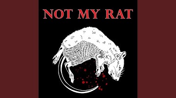 Not My Rat