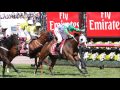 Prince of Penzance ~ 2015 Melbourne Cup