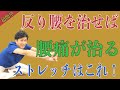 【反り腰 改善 ストレッチ】ガチガチ背中や腰痛やぽっこりお腹を解消出来る!超簡単な反り腰を改善させるストレッチだったらこれをして! 神戸市内で唯一の【慢性腰痛】専門 整体院 大鉄 ~Daitetsu~