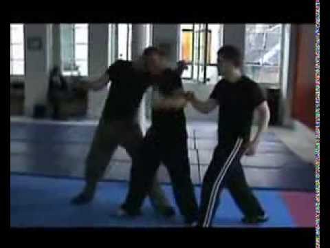 Hybrid Fight Academy (TCFS) total Combat fight System