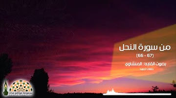 وَإِنَّ لَكُمْ فِي الْأَنْعَامِ لَعِبْرَةً - من سورة النحل (66-67) مجوّد - الشيخ محمد صديق المنشاوي