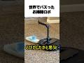 最先端のお掃除ロボ
