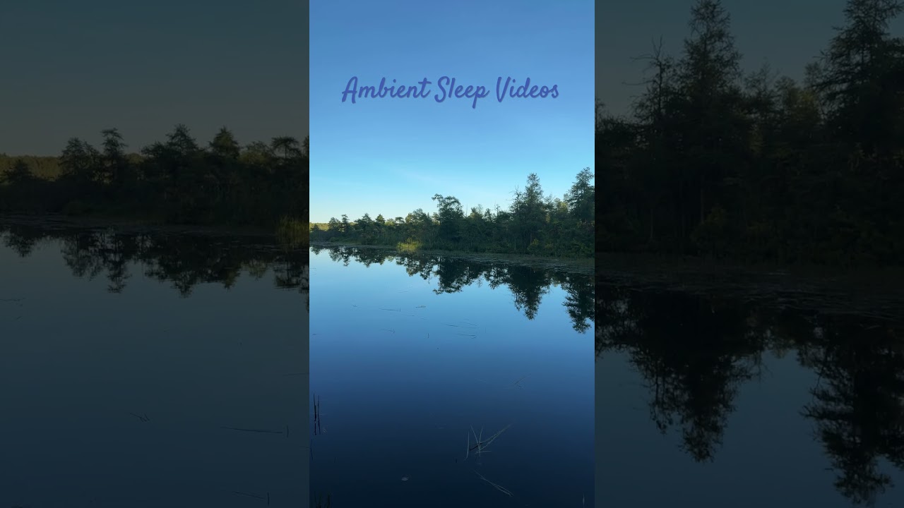 Ambient Sleep Videos of Nature 