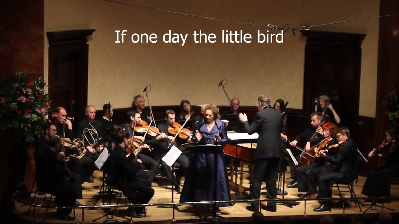 Ann Hallenberg performs “Se l’augellin sen fugge” from La finta giardiniera