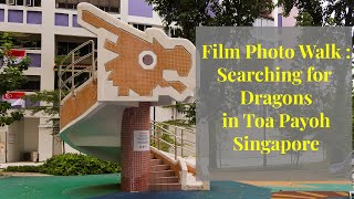 Film photography Searching for Dragons in Toa Payoh
Follow me along for a photo walk with a mission to search for Dragons!
Toa Payoh is one of Singapores second oldest residential estates and somehow there are a few dragon themes structures here.
Taking along with me is my Yashica Mat 124 and a roll of Rollei Superpan 200. The Rollei Superpan 200 is an excellent film for black & white reversal. Despite the cloudy weather, the slides turned out to be contrasty with good blacks and clear whites.
Black & White Reversal Processing Service : https://www.facebook.com/bwreversal/
#singapore #photowalk #singaporetourism
About me:
I have been doing fim photography, darkroom printing since 2003. Since then, I have also been doing alternative processes such as albumen printing, kallitype printing, wet plate and dry plate photography. My favorite cameras are the Nikon FM2 and Nikon F2 and my favorite films are Fomapan 100, Kodak Ektar, Fujifilm Velvia, Rollei Superpan. with The various genres of photography I enjoy doing are landscape photography, portrait photography,
Being new to Youtube, I appreciate the works of other film photographers on youtube, such as Willem Verbeeck, Matt Day, Bigheadtaco and many more Film photography Searching for Dragons in Toa Payoh