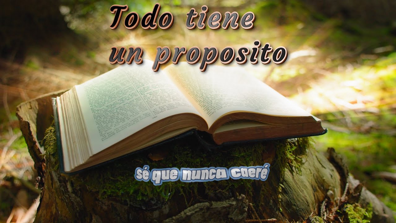 Todo tiene un propósito     