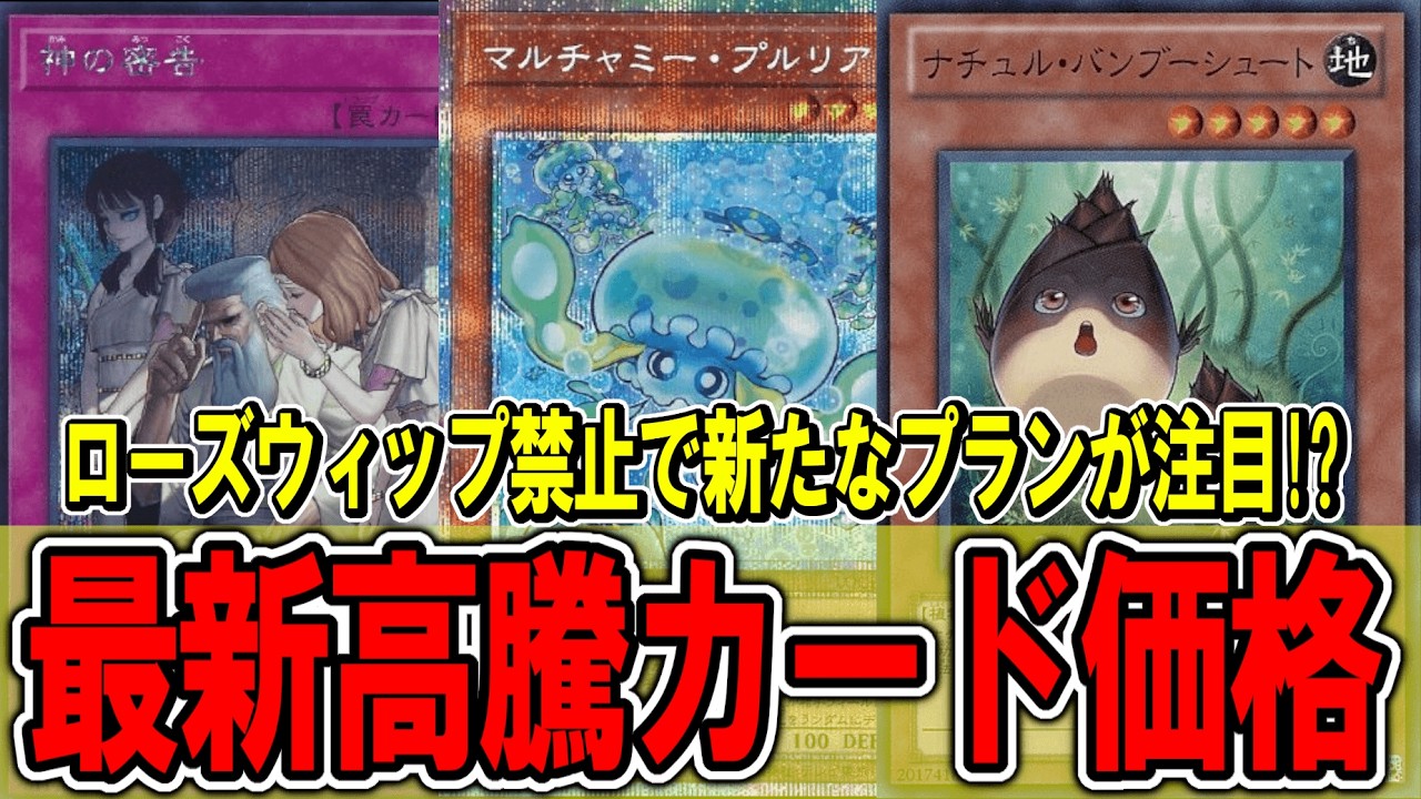 遊戯王】ローズウィップ禁止で新たなプランが注目！？遊戯王高騰カード