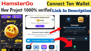 How To Connect Ton Wallet To HamsterGo | HamsterGo Bot